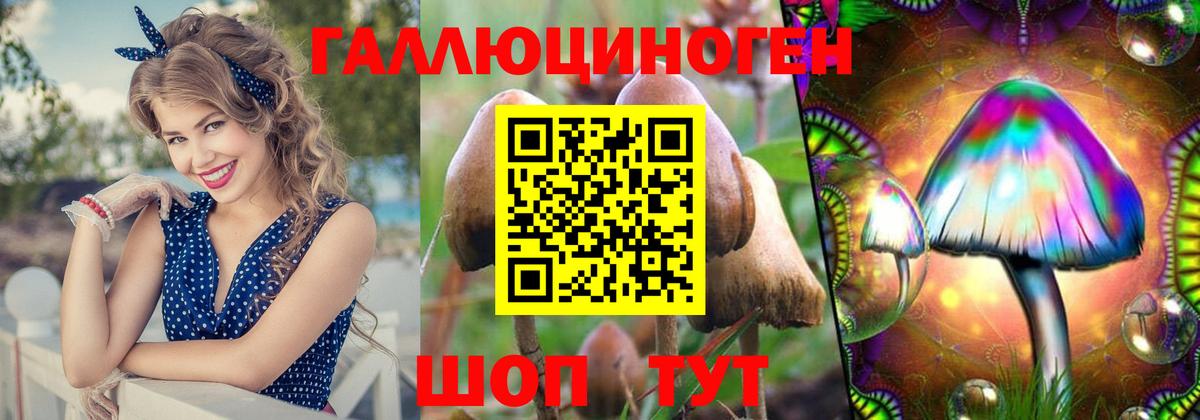 Псилоцибиновые грибы Cubensis Тавда
